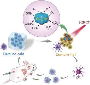 https://nfusion-tech.com/wp-content/uploads/2019/10/catalytic-immunotherapy-for-cancer-nanoparticles-act-asartificial-enzymes_5db35d239ff5d.jpeg