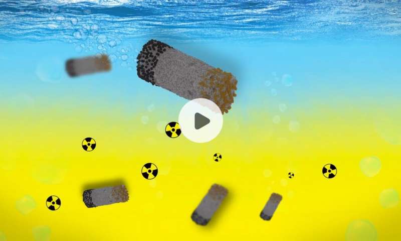 https://nfusion-tech.com/wp-content/uploads/2019/10/microrobots-clean-up-radioactive-waste_5db9f391a2813.jpeg