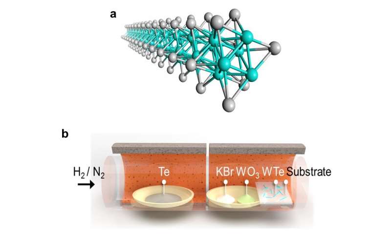 https://nfusion-tech.com/wp-content/uploads/2020/12/atomic-scale-nanowires-can-now-be-produced-at-scale_5fe5b654760d9.jpeg