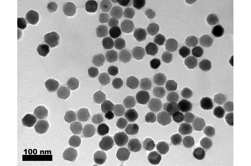 https://nfusion-tech.com/wp-content/uploads/2021/02/bacterial-magnetic-nanoparticles-for-biomedicalapplications_6030dc4f16431.jpeg