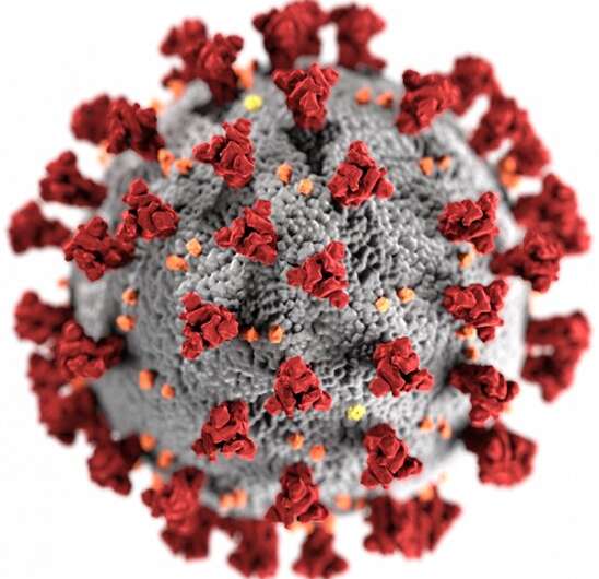 https://nfusion-tech.com/wp-content/uploads/2021/02/researchers-engineer-a-tiny-antibody-capable-of-neutralizingthe-coronavirus_601e664f1c040.jpeg