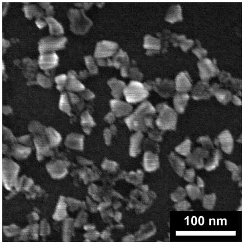 https://nfusion-tech.com/wp-content/uploads/2021/03/fluorescent-nanodiamonds-successfully-injected-into-livingcells_6040af313428e.jpeg