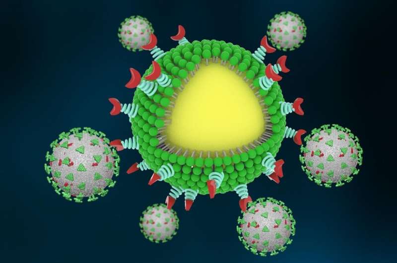 https://nfusion-tech.com/wp-content/uploads/2021/04/scientists-design-nanotraps-to-catch-clearcoronavirus_608930b45dc6b.jpeg