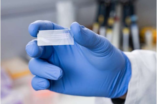New, better coronavirus rapid test