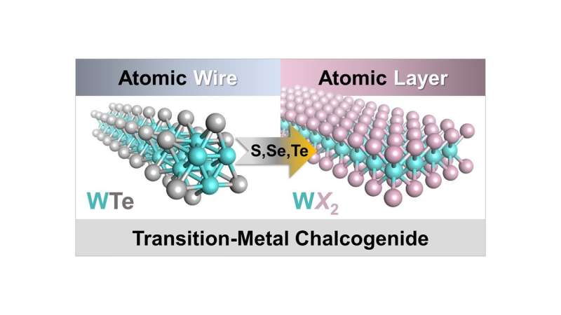 https://nfusion-tech.com/wp-content/uploads/2022/02/scientists-weave-atomically-thin-wires-into-ribbons_61f902438f357.jpeg